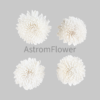 Eco-friendly white sola wood Ziniya artificial flower close-up
