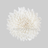 Handcrafted Ziniya sola wood flower for home decor and wedding decoration
